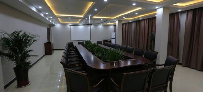 大名铂金假日酒店(大名明清古城店)图片