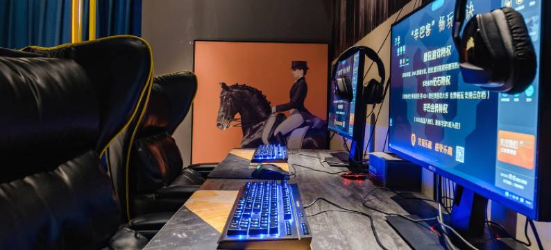 辛巴电竞酒店(郑州黄河科技学院店)图片