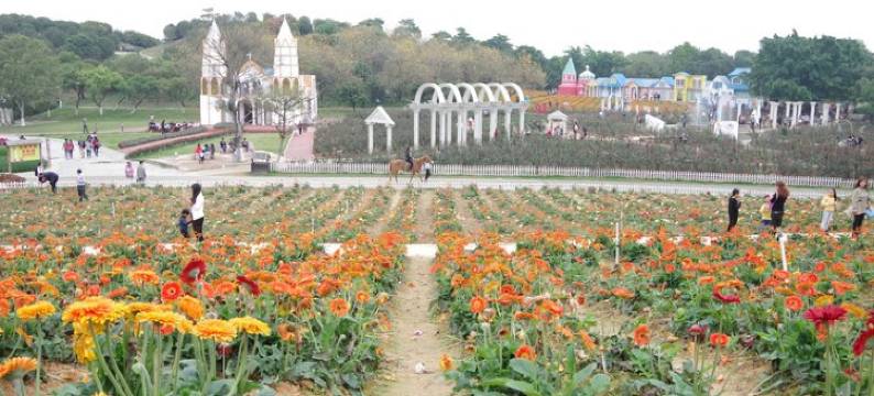 东莞星公寓(大朗环球广场店)图片