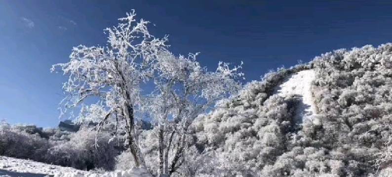 茂县栩羽迎雪山庄图片