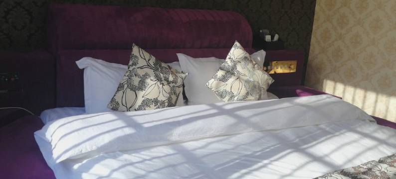 富宁星辰主题酒店图片