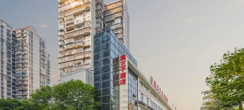 黑王子艺术酒店(泸州龙马潭区政府店)图片