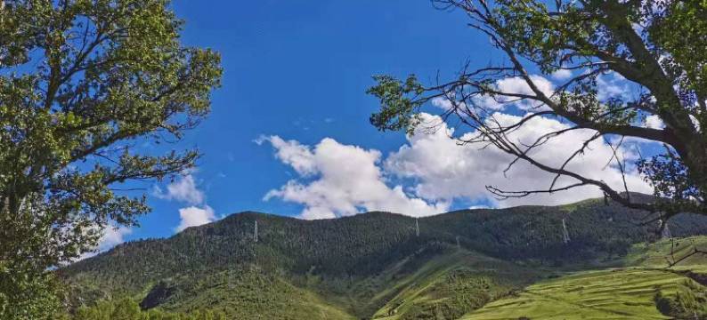 康定里本咖啡lieben kaffee民宿(新都桥店)图片