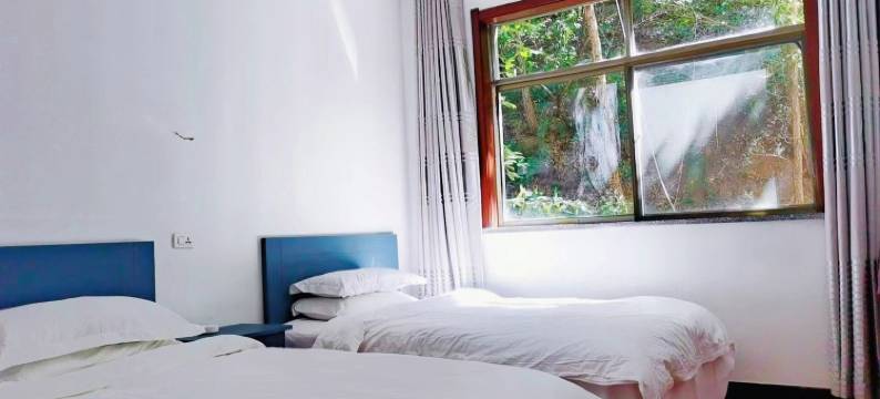 一朵牡丹小院图片