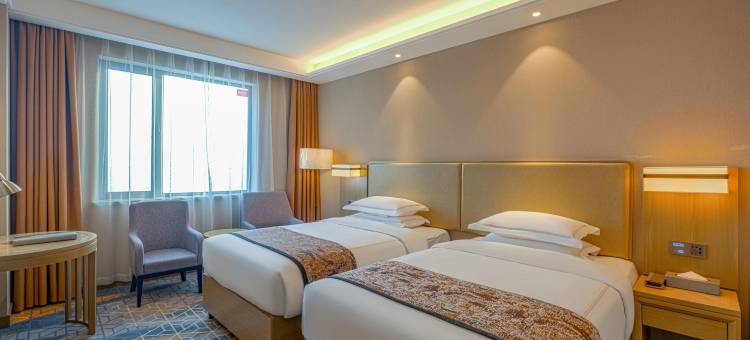 乌鲁木齐翼龙国际大酒店(乌鲁木齐高铁站自治区博物馆店)图片