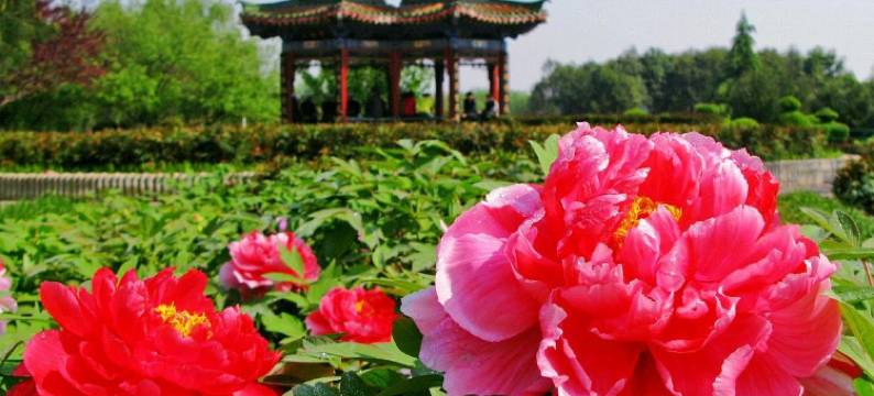 恒兴招待所(洛阳金谷园店)图片