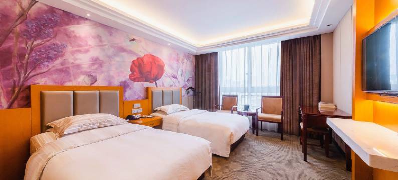 桐城国际大酒店图片