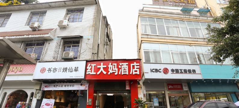 成都红大妈主题酒店图片