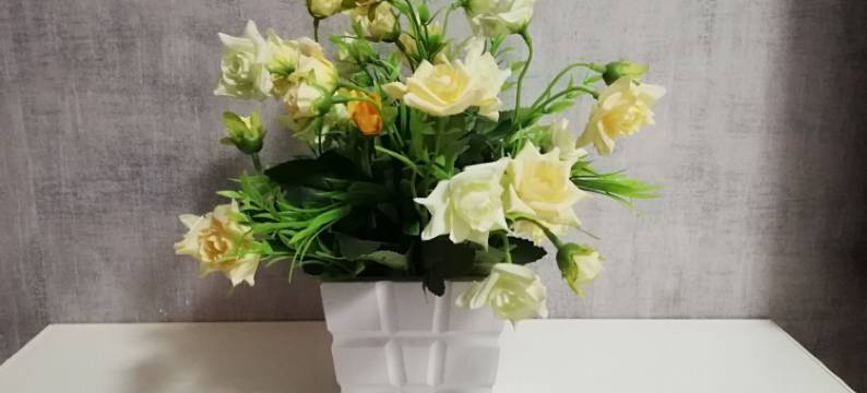 嵩明佳人居客栈图片