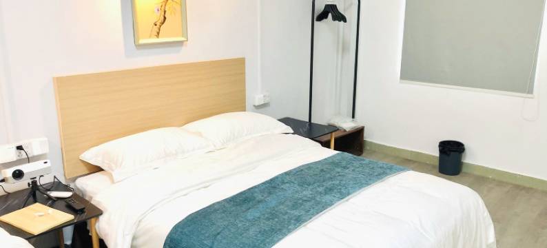 梧桐商务公寓(深圳坪山高铁站店)图片