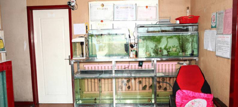 石嘴山供贸宾馆图片