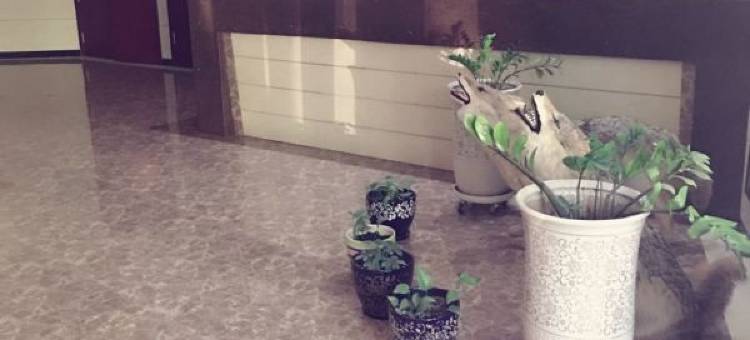 奇台城市印象商务宾馆图片