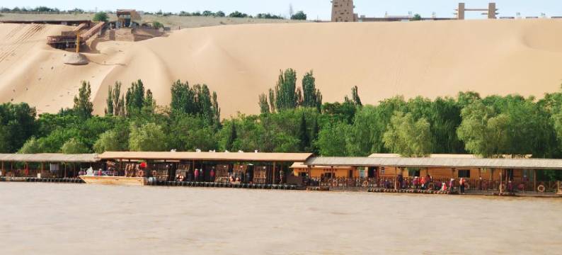 中卫金色田园农家图片