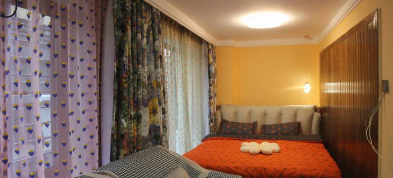 海林大隐艺术观影民宿图片