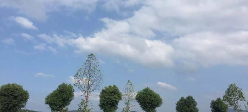 黄山北山民宿图片