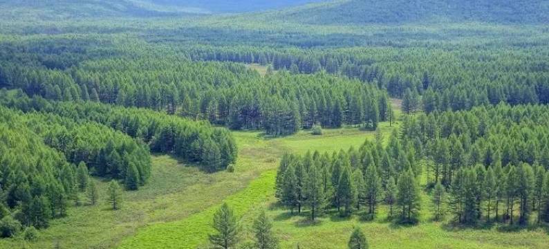 围场月亮湾宾馆图片