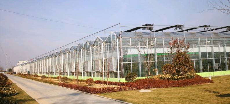 睢宁轩宇酒店图片