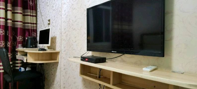 武汉天鹅宾馆(阳逻店)图片