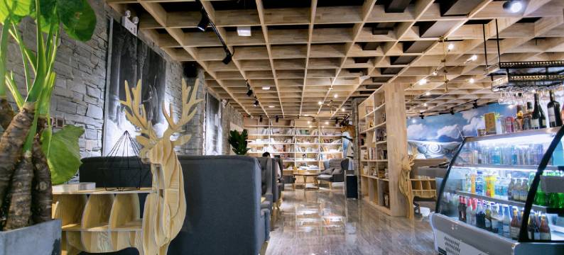 保定东岸艺术酒店图片