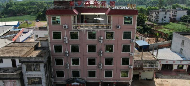 扶绥岽罗商务宾馆图片