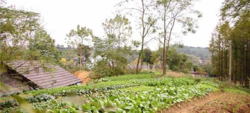 莫干山漫山居民宿图片