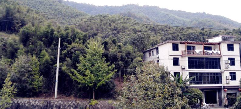 杭州龙祥山庄图片