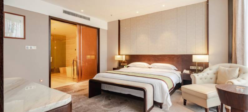 西充自然天辰·莲花大酒店图片