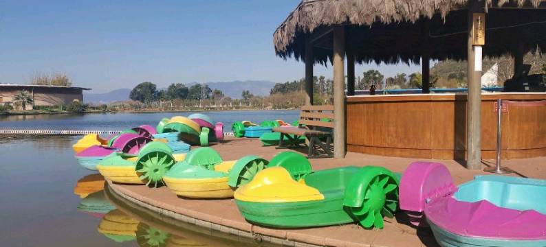 澄江小渔歌酒店图片