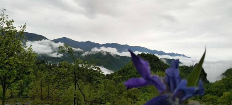 神农架宝捷家庭旅馆图片