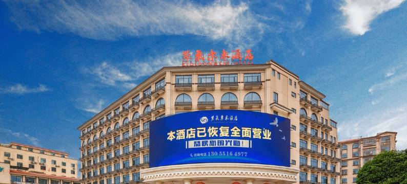 紫气东来酒店(长沙黄花国际机场店)图片