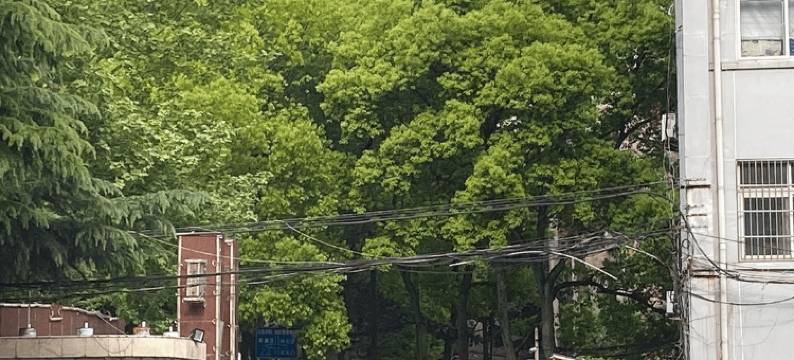 芜湖顾宏商务宾馆图片