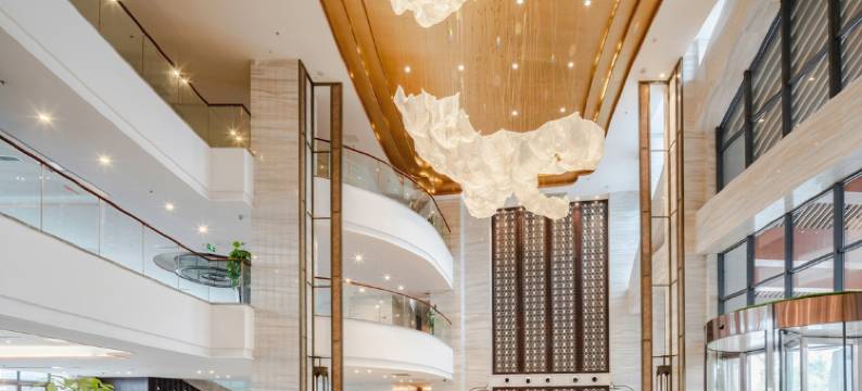 西充自然天辰·莲花大酒店图片