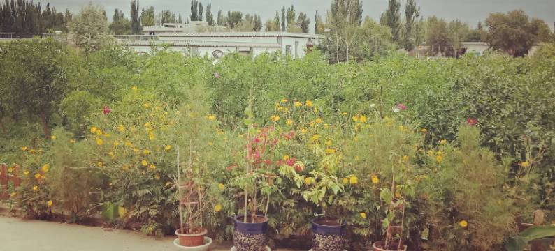 敦煌佳欣家庭宾馆图片