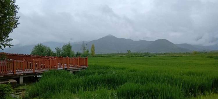 泸沽湖玫瑰庄园图片