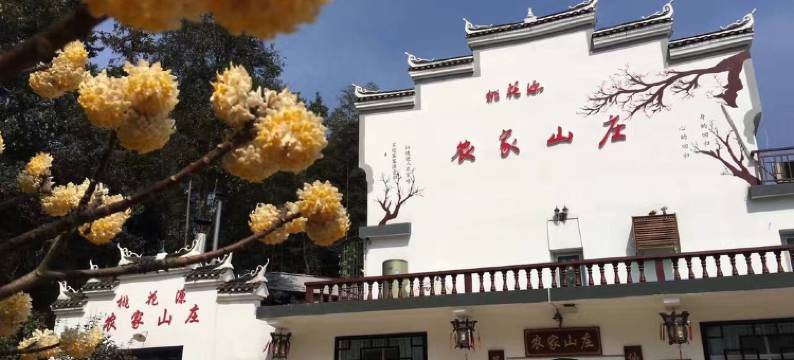 常德桃花源农家山庄图片