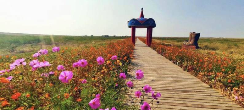 伊金霍洛旗唯宾国府酒店图片