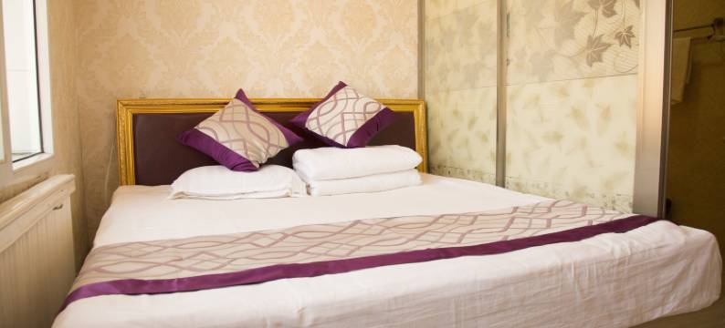 泊辰宾馆(哈尔滨太平国际机场店)图片