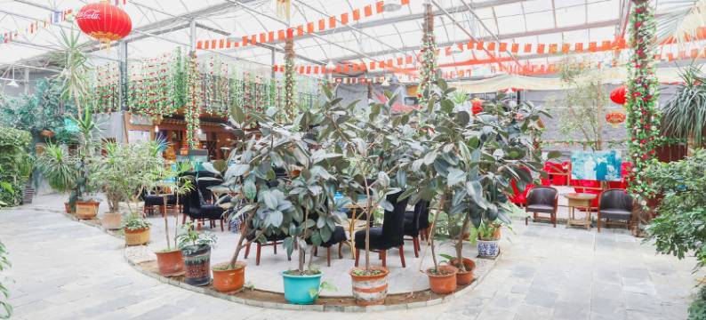 北京鑫双泉度假民宿图片