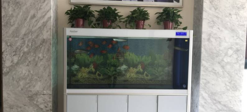 明珠假日酒店(建湖高铁站店)图片