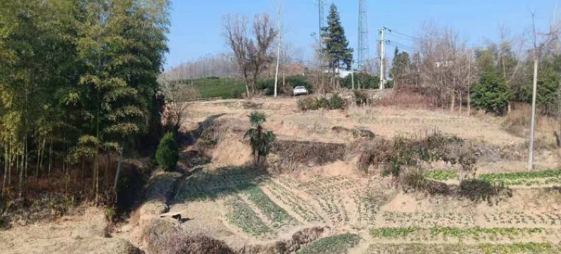 屏水相逢客栈图片