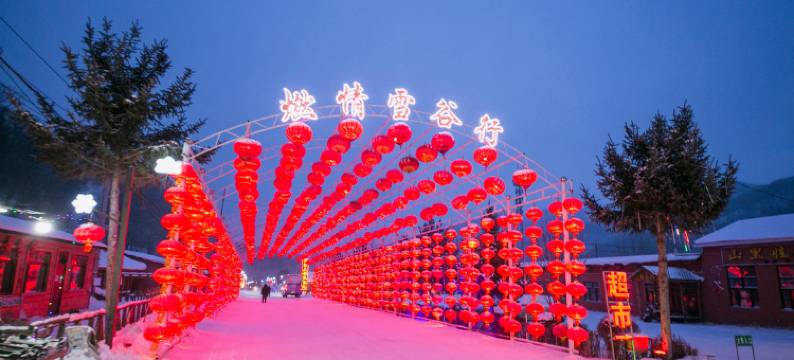 雪谷金和家庭旅馆图片