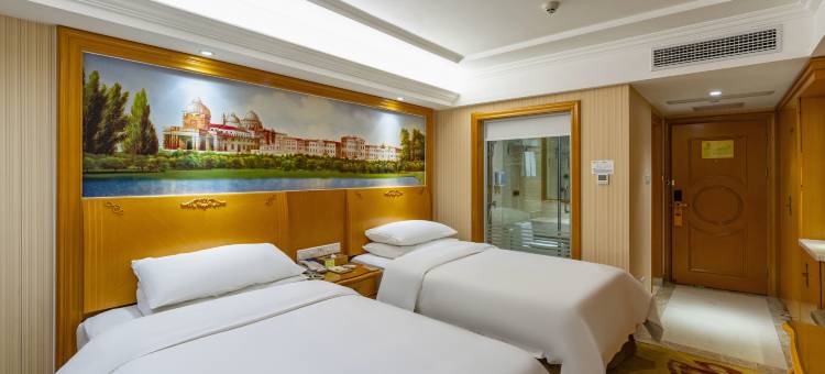 维也纳酒店(耒阳店)图片