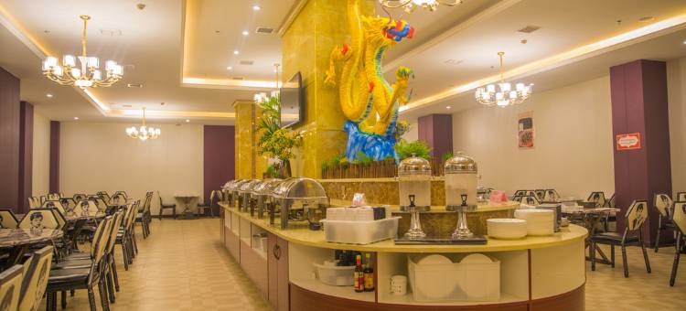 辰溪龙腾国际假日酒店图片