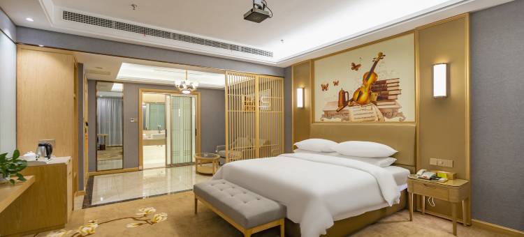 维也纳国际酒店(合肥滨湖省政府塘西河公园地铁站店)图片