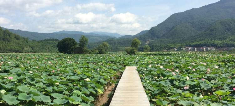 松溪唯美未来酒店图片