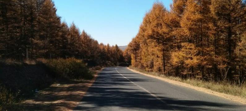 张北香间甜野农家院图片