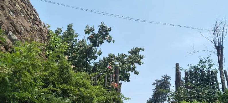 济南五彩山村旅游度假民宿图片