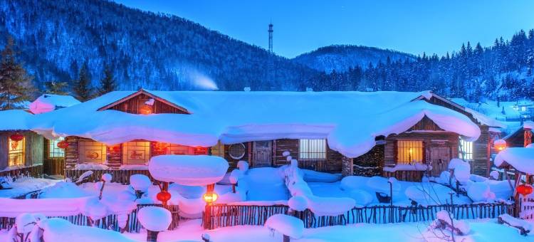 雪谷·老乡Family漫雪物语秘境美宿(雪谷风景区店)图片