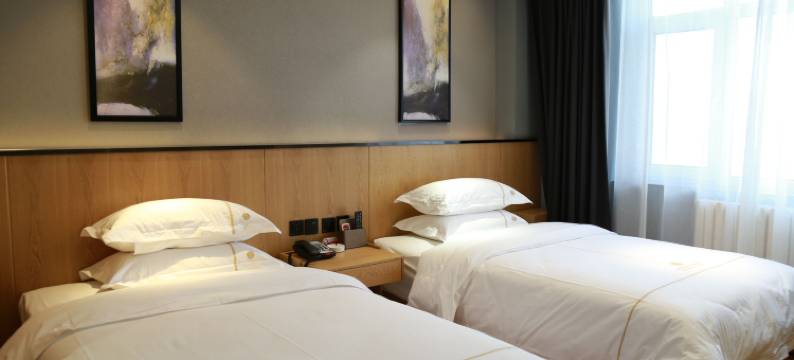 乌海鸿亿商务酒店图片