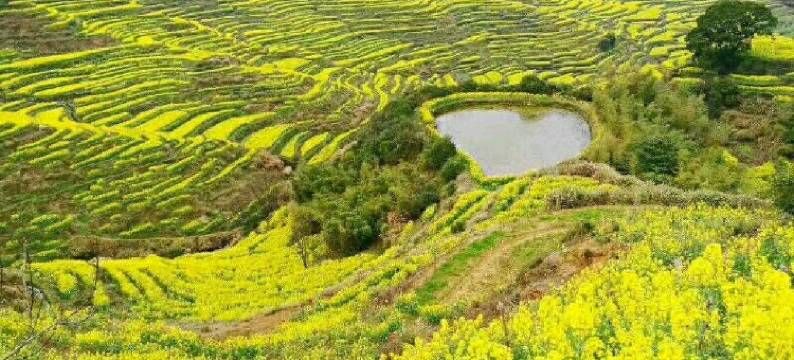 婺源新农民客栈图片